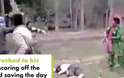 Video: Chồng bị quây đánh, vợ vác gậy lao ra giải cứu
