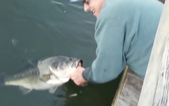 Video: Cụ ông chỉ việc thò tay xuống nước câu được cá "khủng"