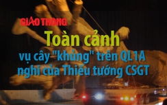 Video: Toàn cảnh vụ cây "khủng" trên QL1A nghi của tướng CSGT về hưu