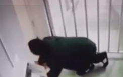 Video: Mò vào trường dạy võ, trộm bị võ sư đánh bầm dập