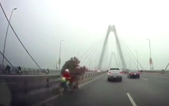 Video: "Nữ quái" chở cây cảnh khiến cả cầu Nhật Tân khiếp vía