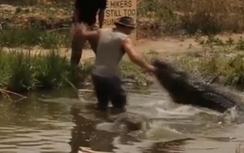 Video: Bị quay livestream, cá sấu chồm lên đớp cánh tay người đàn ông
