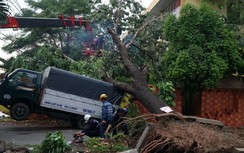 Mưa to gió giật quật xà cừ đè gãy nhiều trụ điện, xe tải