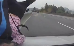 Video: Sang đường bất cẩn, người phụ nữ bị ôtô đâm hất lên capo