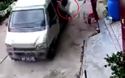 Video: Người phụ nữ vung chổi giải thoát chó cưng khỏi nhóm "cẩu tặc"