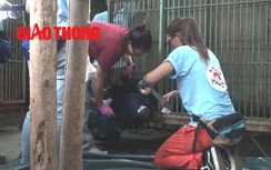 Video: Cận cảnh giải cứu 2 chú gấu ngựa "khủng" ở Thái Nguyên