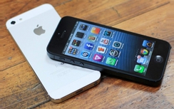 "Huyền thoại" iPhone một thời chính thức bị Apple "hắt hủi"