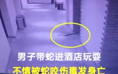 Video: Gã trai dùng rắn độc cưỡng hiếp phụ nữ bị rắn cắn chết