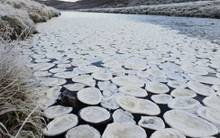 Kỳ lạ hàng ngàn chiếc "bánh kếp băng" chảy trên sông ở Scotland