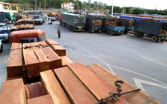 Hạ tải xe gỗ tại cửa khẩu quốc tế Lao Bảo