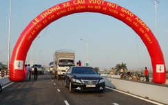 Đồng Nai thông xe cầu vượt Amata