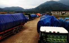 Hà Tĩnh: Phạt đoàn xe chở gỗ khủng gần 400 triệu đồng