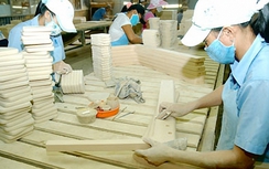 Doanh nghiệp quay lại hoạt động nhiều hơn doanh nghiệp giải thể