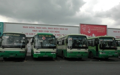 TPHCM: 14 doanh nghiệp kê khống để nhận trợ giá xe buýt