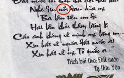 Sửa thơ sai chính tả ở tượng đài mẹ Việt Nam anh hùng
