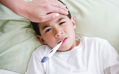 Sốt xuất huyết hoành hành ở TP Hồ Chí Minh