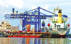 Cơ chế một cửa quốc gia chưa thông tại hải quan cảng biển