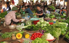 Giật mình, mua 5 cọng rau bí giá đắt ngang 2 lạng thịt