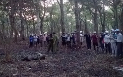 Phát hiện thi thể trên đám cháy giữa rừng