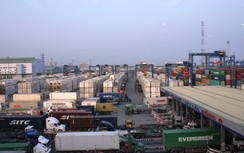 Tìm giải pháp phát triển cảng container