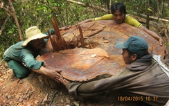 Người dân vây bắt gỗ lậu, chính quyền truy trách nhiệm chủ rừng