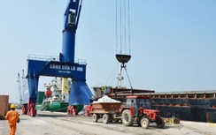 Cảng Cửa Lò đủ năng lực đón tàu 10.000 DWT