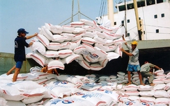 Phát triển gạo Việt Nam thành thương hiệu hàng đầu thế giới