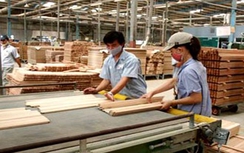 Việt Nam là nước xuất khẩu gỗ lớn thứ 6 trên thế giới