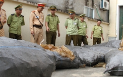 CSGT Hà Tĩnh bắt xe tải chở 1,3 tấn bì lợn hôi thối