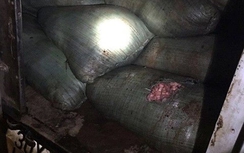 CSGT phát hiện hơn 600 kg mỡ bò thối tuồn vào Hà Nội