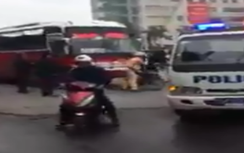 CSGT truy bắt xe khách gây tai nạn rồi bỏ chạy ở Quảng Ninh