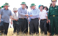 Phó Thủ tướng Nguyễn Xuân Phúc: Không để dân đói, khát do nắng hạn