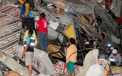 Động đất Ecuador: Số người chết tăng lên 233