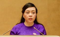 Bộ trưởng Nguyễn Thị Kim Tiến không ứng cử Đại biểu Quốc hội