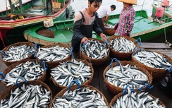Hôm nay, Trung Quốc ngang nhiên cấm đánh bắt cá trên Biển Đông