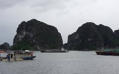 Video bão số 1: Cảng Tuần Châu thiếu an toàn cho tàu tránh bão
