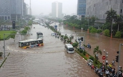 Tin bão số 3 mới nhất: Hà Nội mưa lớn, gió giật cấp 8