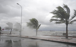 Tin bão số 3 mới nhất: Tâm bão trên biển Quảng Ninh-Nam Định