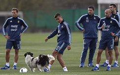 Vắng Messi, tuyển Argentina tập luyện cùng "cún cưng"