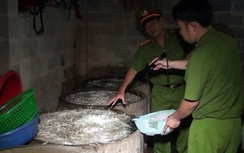 Tiêu hủy hơn 2 tấn giá đỗ ủ bằng hóa chất cấm Trung Quốc