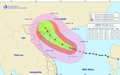 Tin bão số 7 Sarika mới nhất: Quảng Ninh, Hải Phòng hứng mưa lớn
