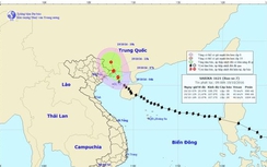 Bão số 7 càn quét biển Quảng Ninh từ 1 giờ chiều nay