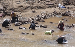 Người dân đổ xô ra sông Đăkrông săn cá, đãi vàng sau lũ