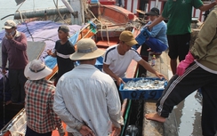 Quảng Trị tạm cấp 114,4 tỷ đồng bồi thường sự cố môi trường biển