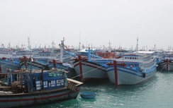 Bình Thuận: Khởi công khu neo đậu tàu tránh bão ở đảo Phú Qúy