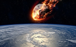 NASA bác bỏ tin đồn thiên thạch hủy diệt Trái Đất ngày 25/2