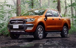 Ranger chiếm một nửa doanh số của Ford Việt Nam