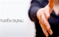 Đại sứ quán Vương quốc Hà Lan cần tuyển dụng