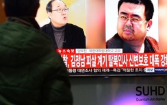 Anh trai Kim Jong-un bị giết vì "mỹ nhân kế"?