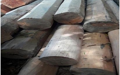 Bắt nhiều bãi gỗ lậu vô chủ tại Kon Tum